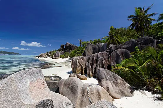 Seychelles, Technical Assistance to PMU - Neptune Project Implementation Seychelles, Technical Assistance to PMU - Neptune Project Implementation