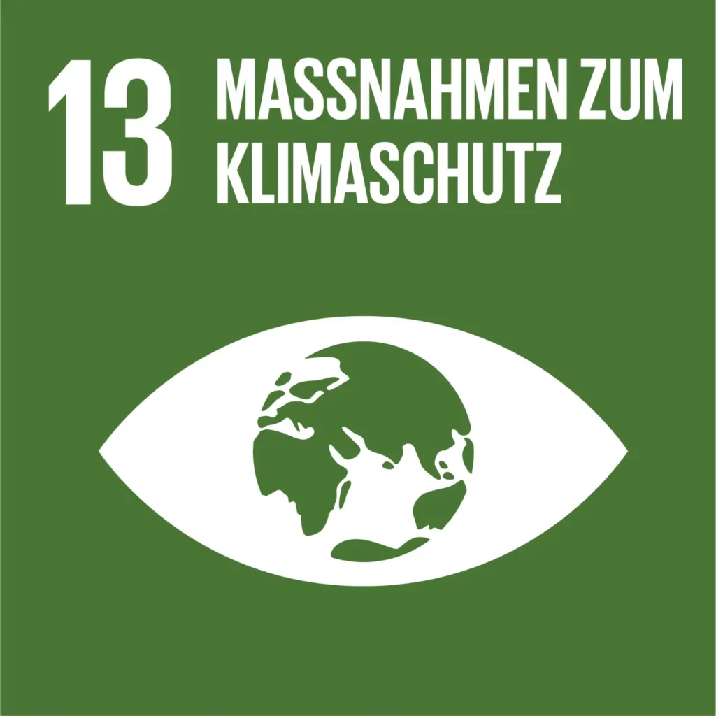 E-WEB-Goal-13