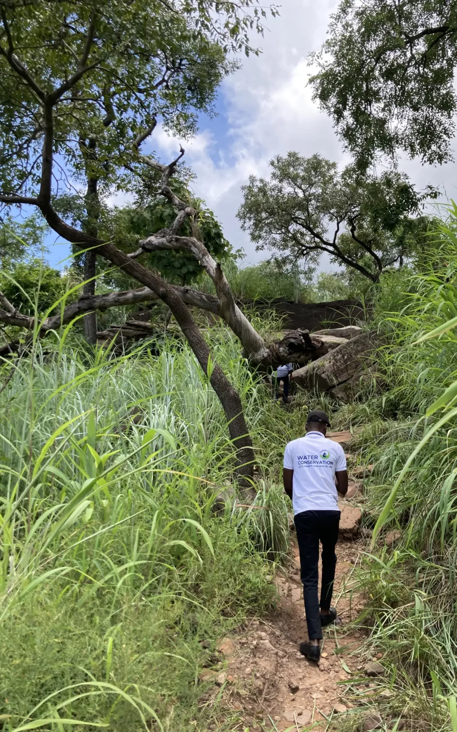 Water conservation team member walking along a narrow path through dense tropical vegetation Water conservation team member walking along a narrow path through dense tropical vegetation