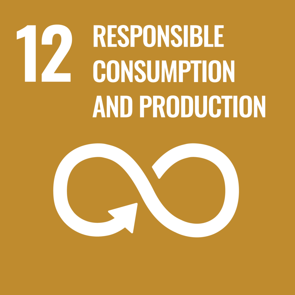 UN SDG 12 - Responsible Consumption and Production Icone of the UN SDG 12 - Responsible Consumption and Production