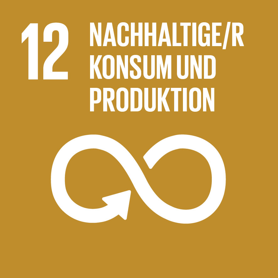 UN SGD 12 - Nachhaltiger Konsum und Produktion UN SGD Icon - Nachhaltiger Konsum und Produktion